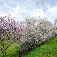 23-03-13 10-51-39 4828